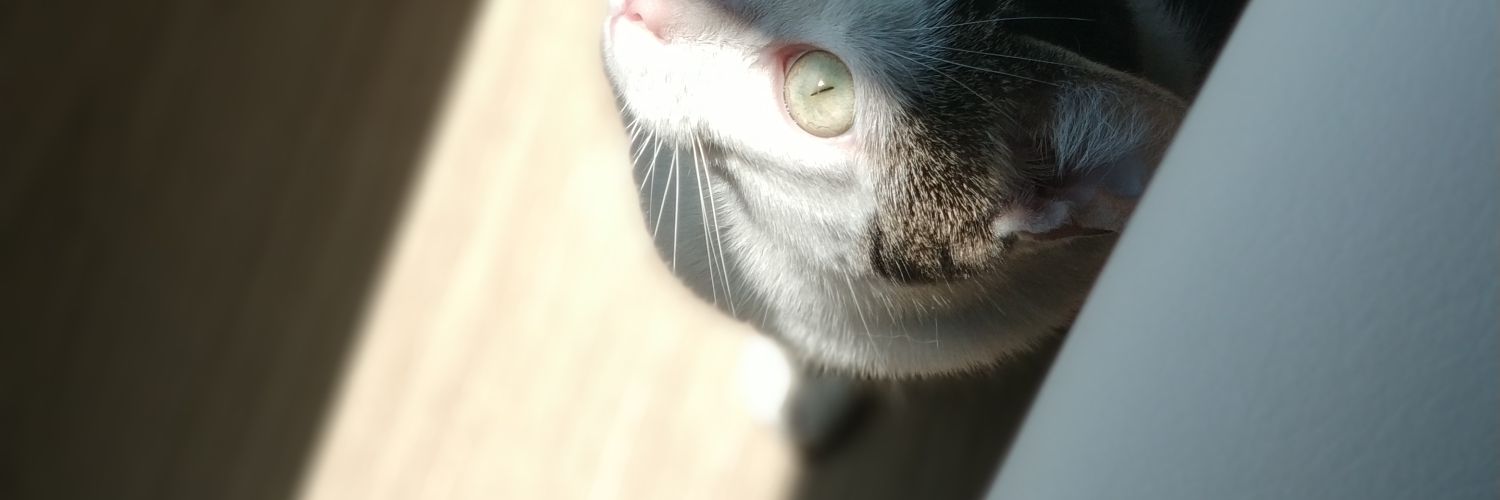 zuriñe menendez banner