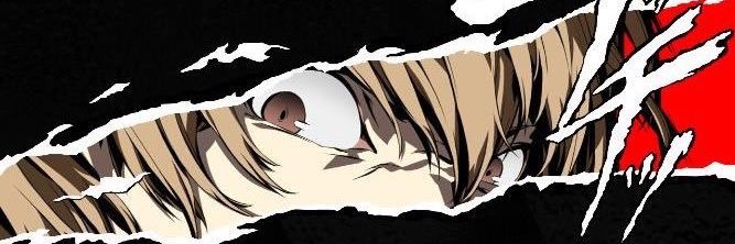 lidlverse's profile banner image