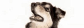 Streamers Sem Contexto banner