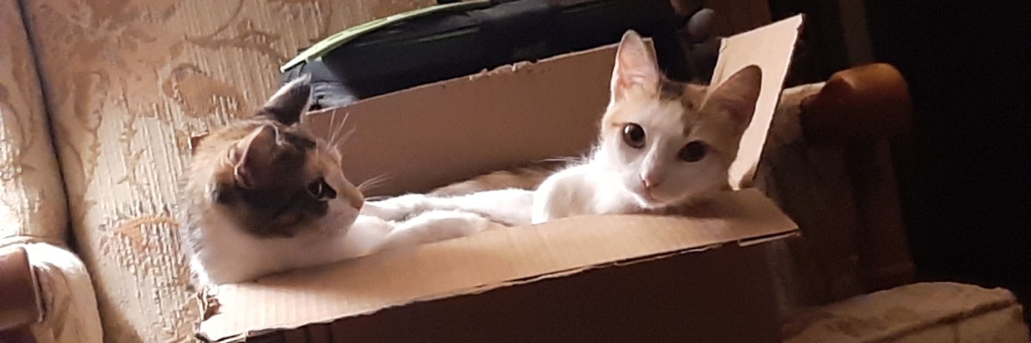 RubyBowden10's profile banner image
