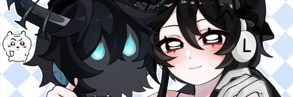 FIMUS banner