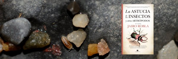 BioJairo Profile Banner