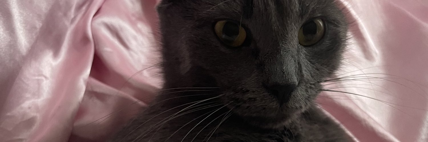 heyitsemilly's profile banner image