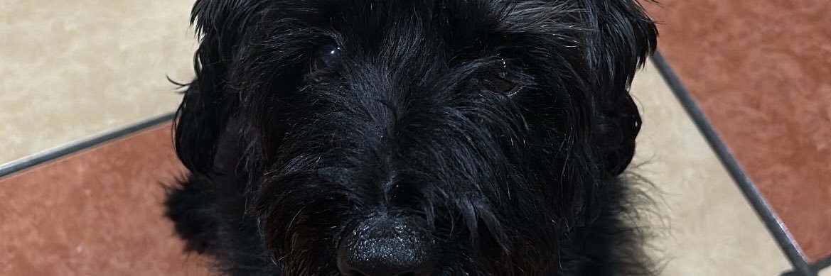 marcebaezb's profile banner image