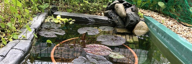 imo_jiro's profile banner image