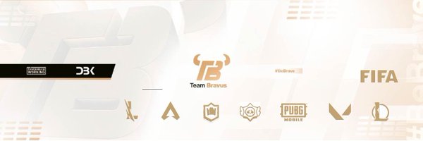 Team_Bravus Profile Banner