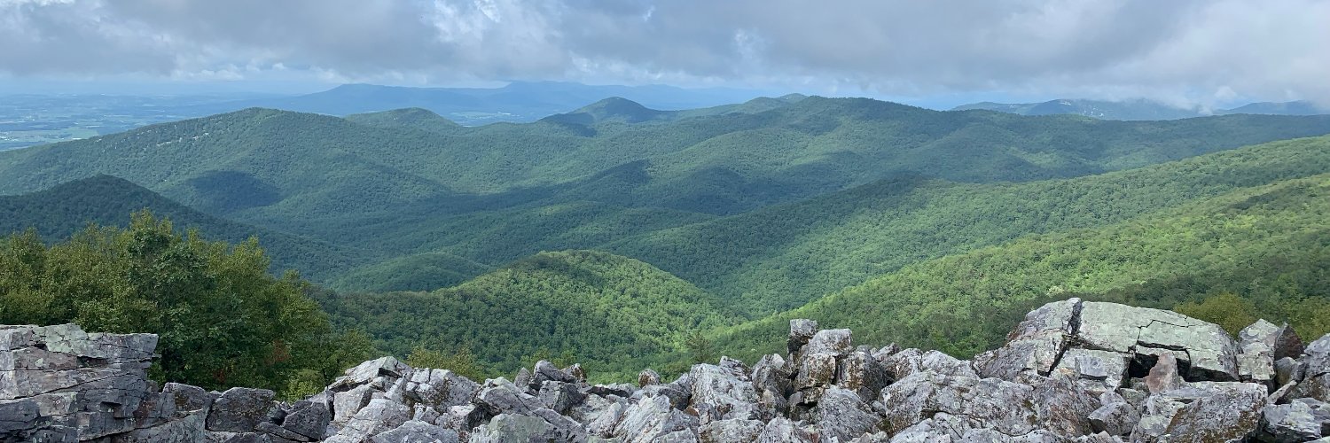 Molly Castle Work banner