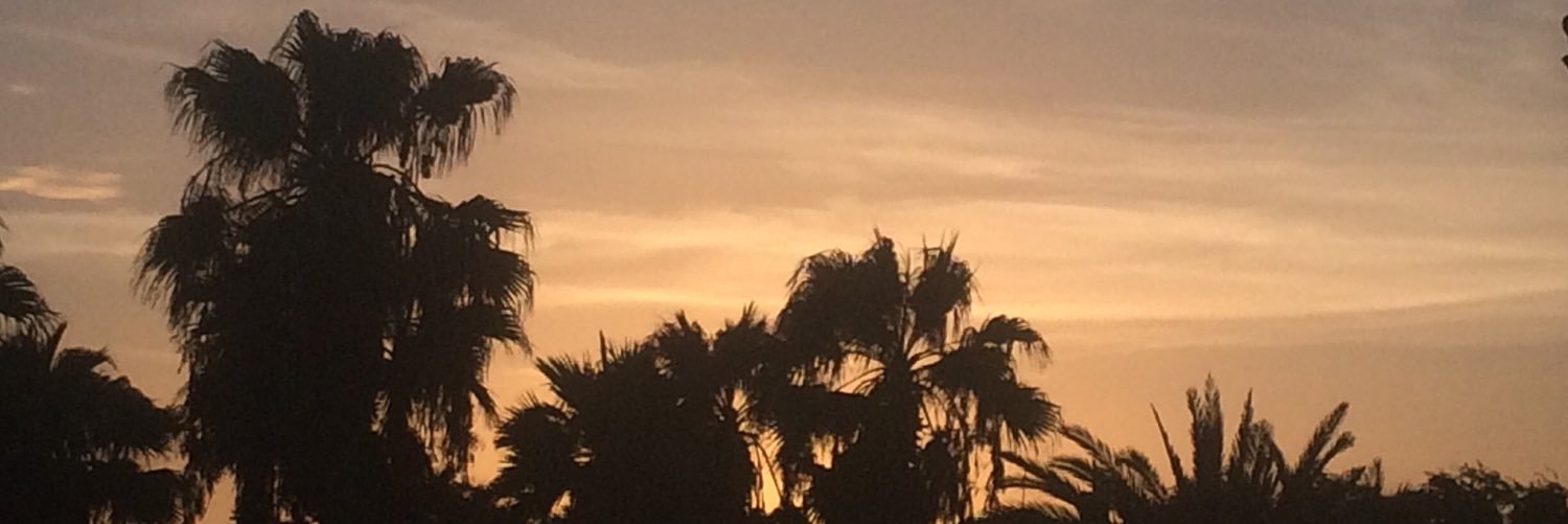 cami9919's profile banner image