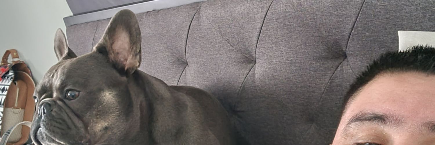 Frenchie Lover banner