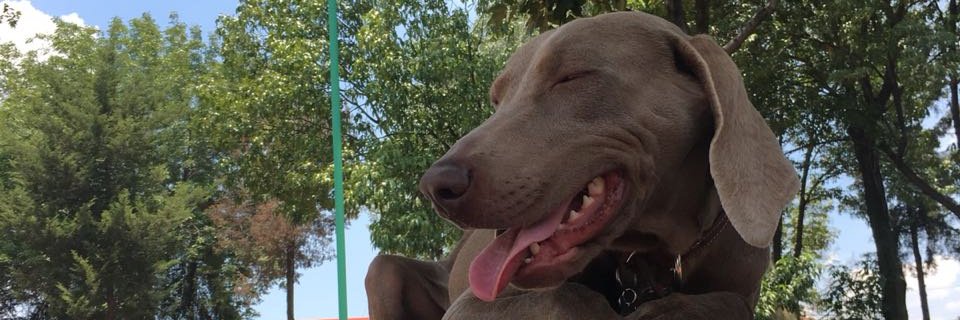 ACTrujillo23's profile banner image