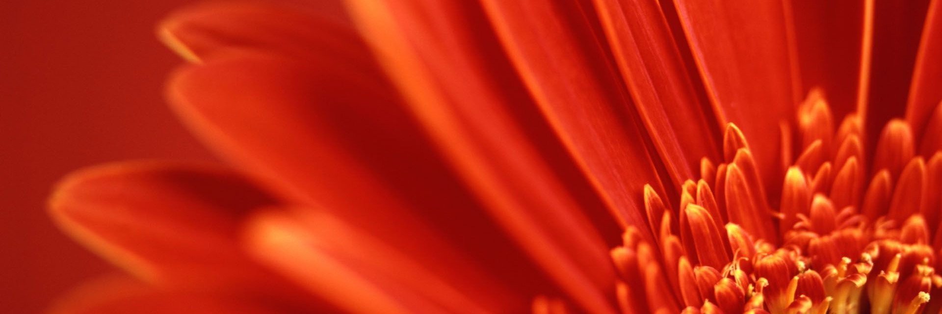 _LaEllie_'s profile banner image