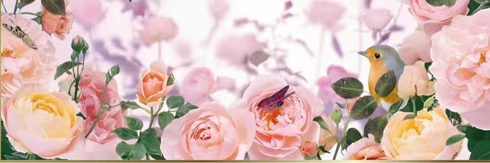 1232jby's profile banner image