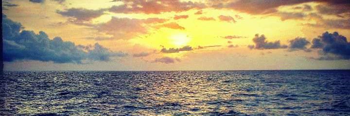 Allwility's profile banner image