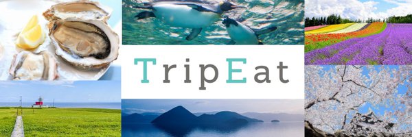 tripeat_hkd Profile Banner