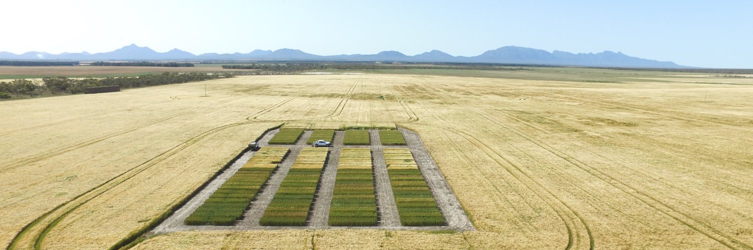 Annabelle Maher banner