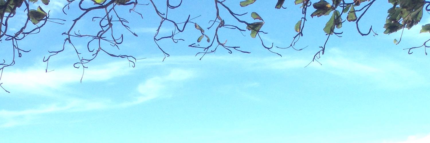 MORELEST's profile banner image