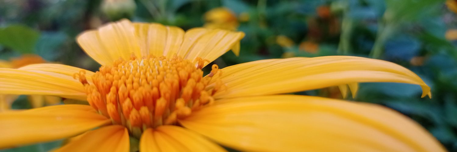 anakKAUST2's profile banner image