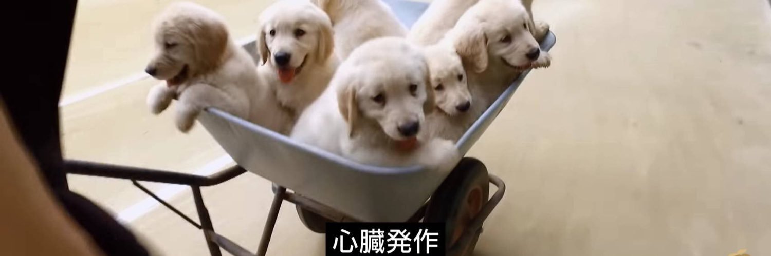 水無月 banner