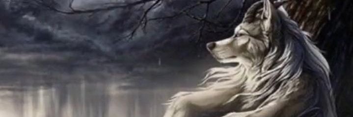 sat6oru's profile banner image