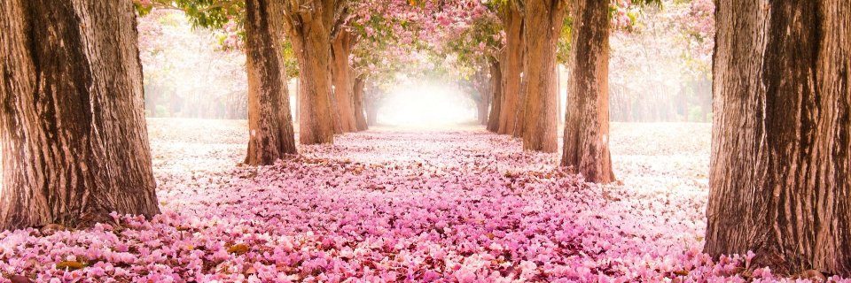 Manu_De77ox's profile banner image