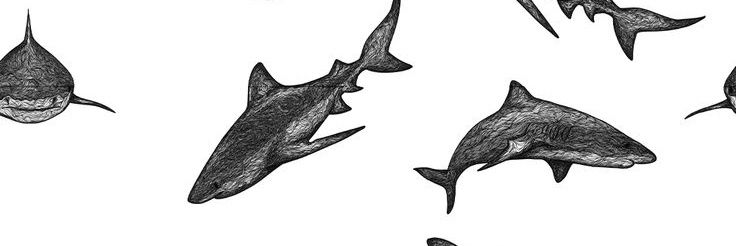 w banner