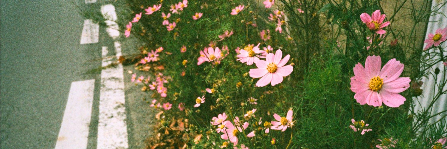 eroded_edges's profile banner image
