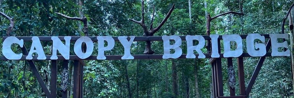 nvlfhz's profile banner image