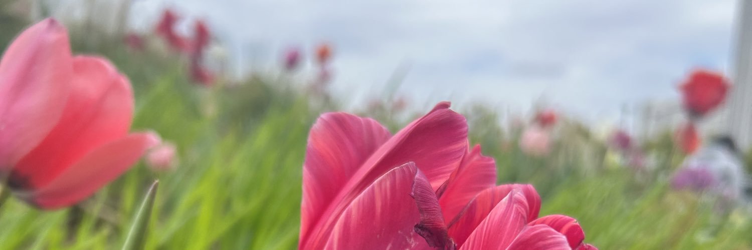 さかいゆりや👼🏻❤️‍🔥 banner