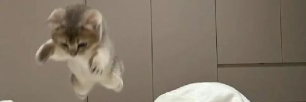 etsan🌻 banner