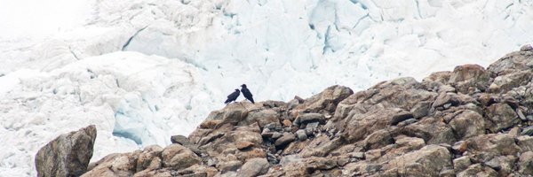 TjommeM Profile Banner