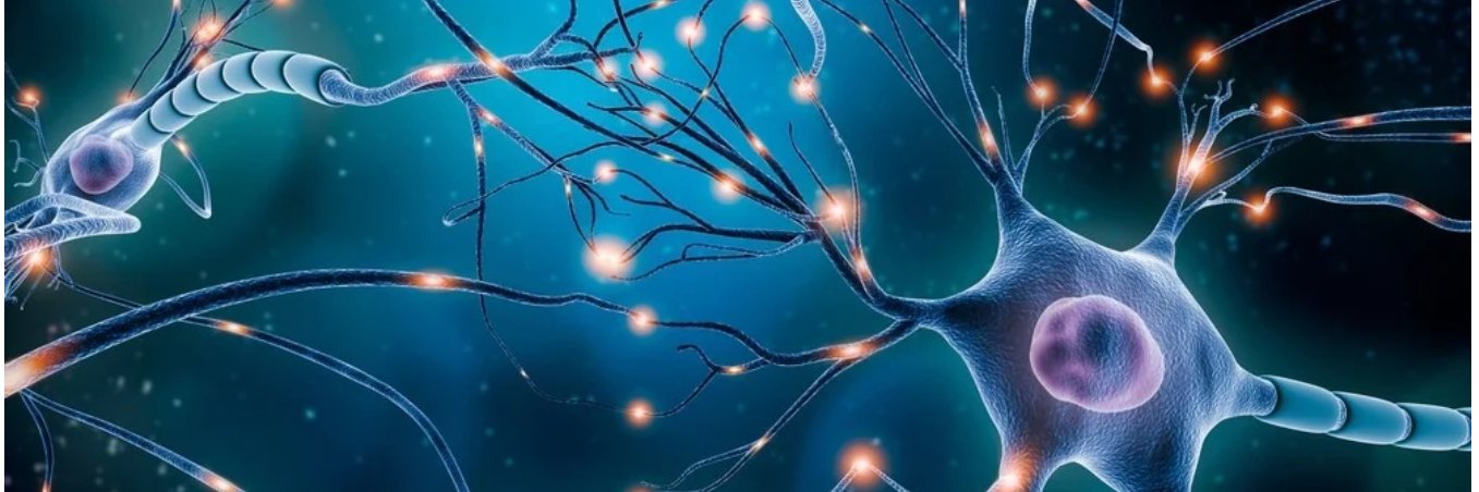 Ryan Hickmott banner