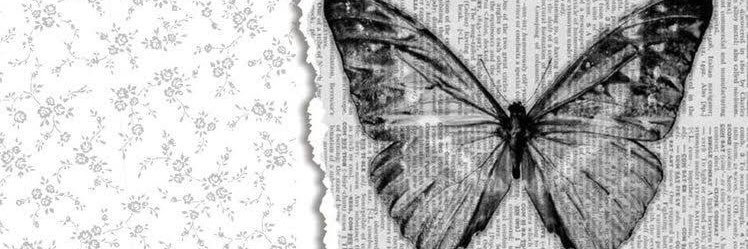ani ✰ banner