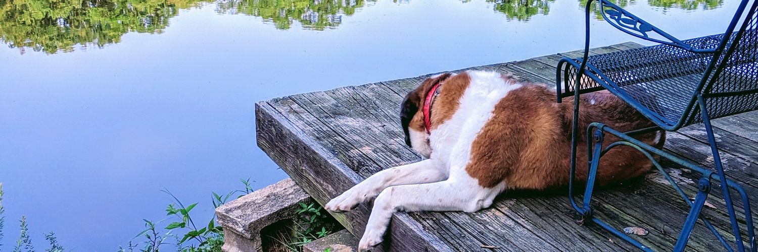 Kuhnlake's profile banner image