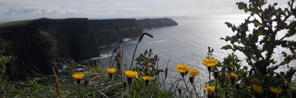 PhoebeZu Profile Banner