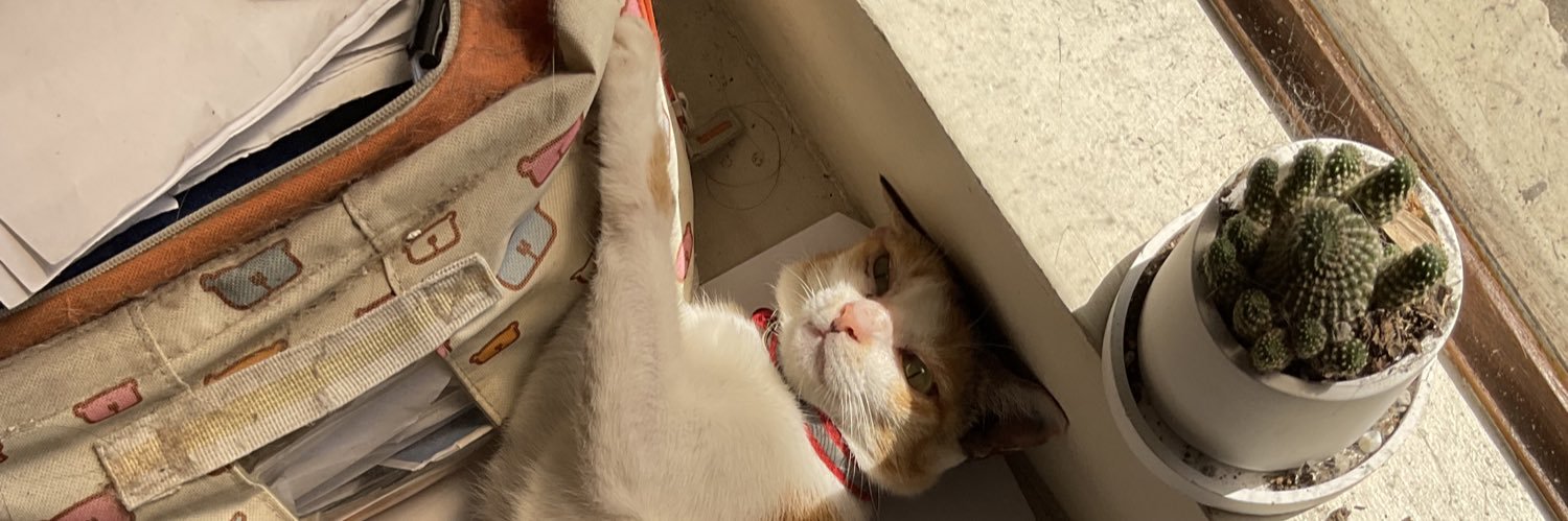 abby 🐈's banner