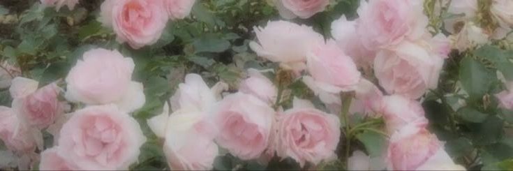 Littlezombie66's profile banner image