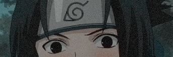 Luca banner