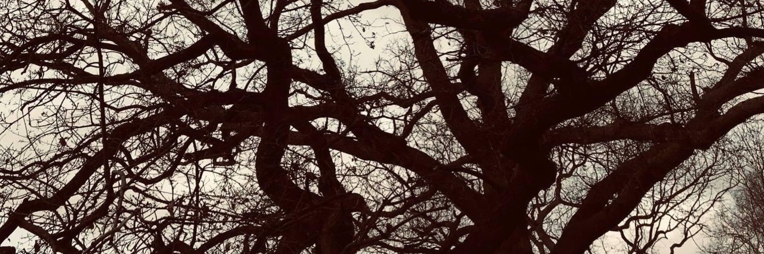 sunethtv's profile banner image
