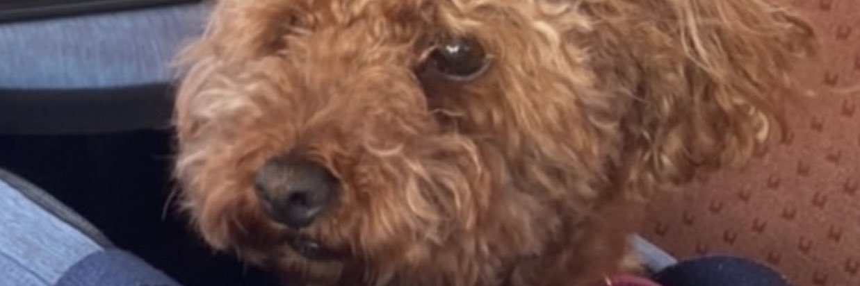 品川の不動産屋 banner