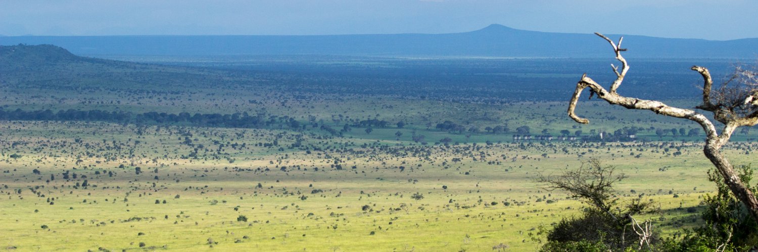 Sonja Leitner banner