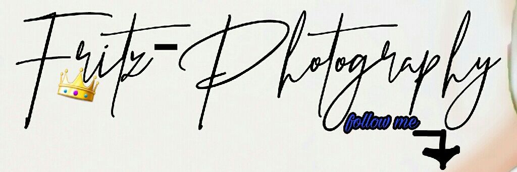 FLafontant's profile banner image