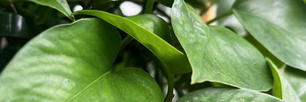 princebestboy Profile Banner