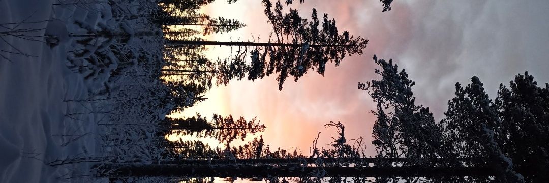 albasm05's profile banner image