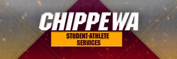 CmichSASERVICES Profile Banner