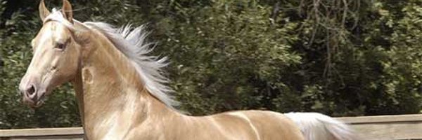 jonnytwo1 Profile Banner