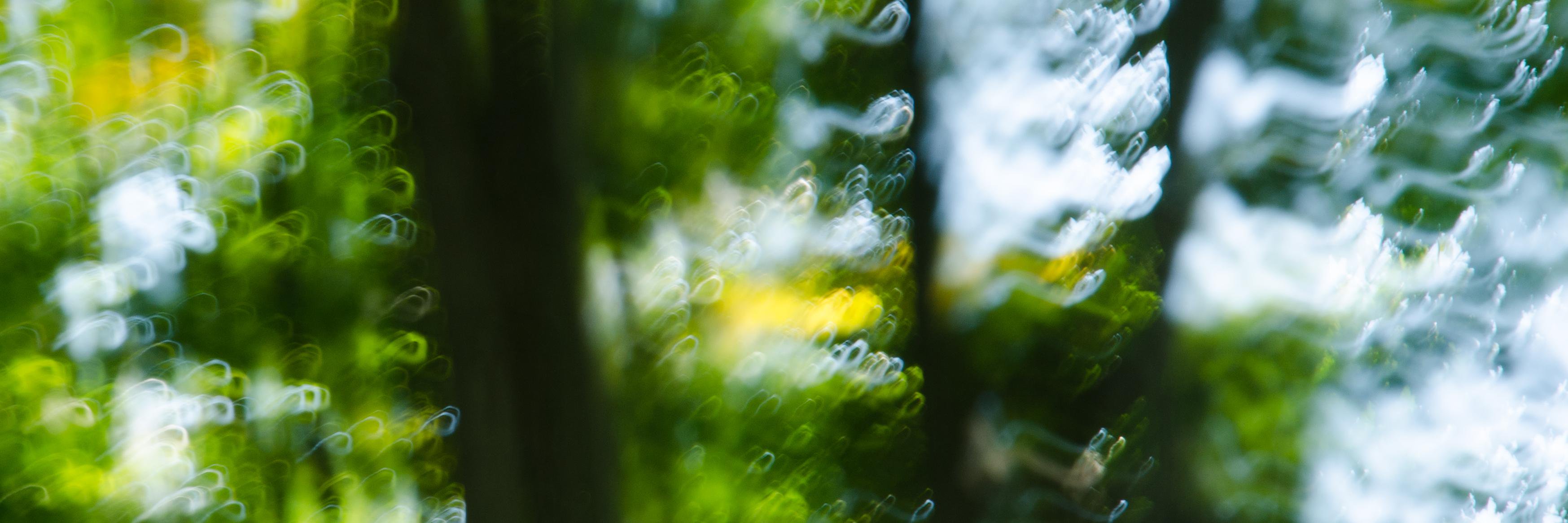 WobblyRonnoc's profile banner image