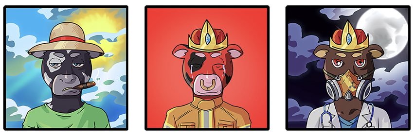 dgmllc2021's profile banner image