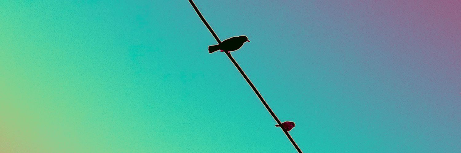 Miss Cee 🍋 banner