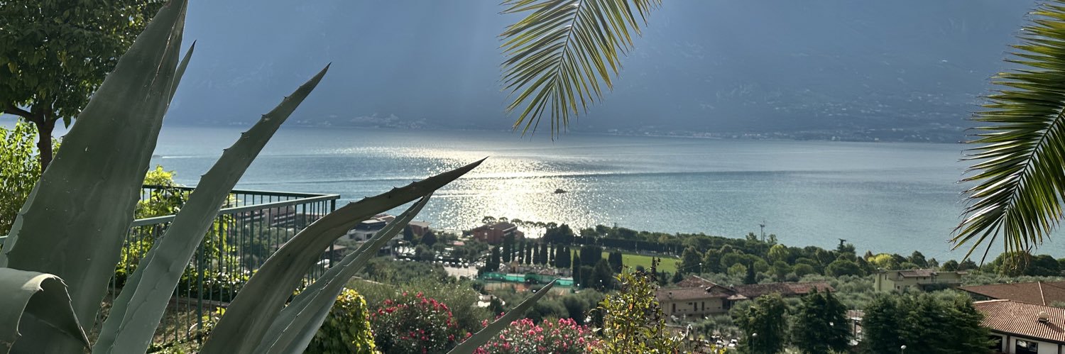 Daniel Zoller banner