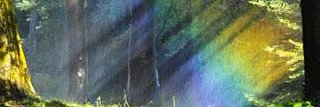 gulben_a's profile banner image